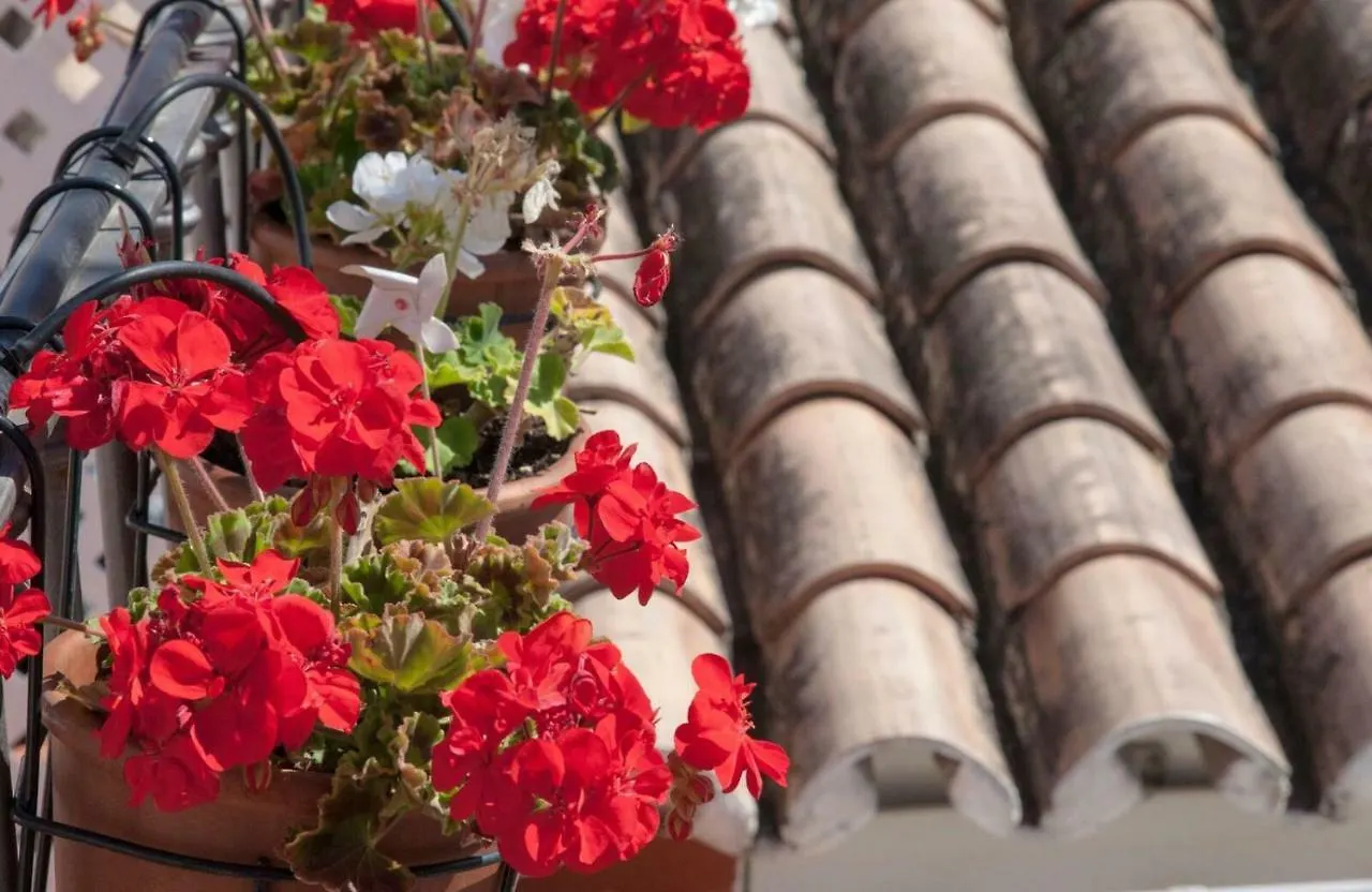 La Blanca Casita Apartment Malaga Spain